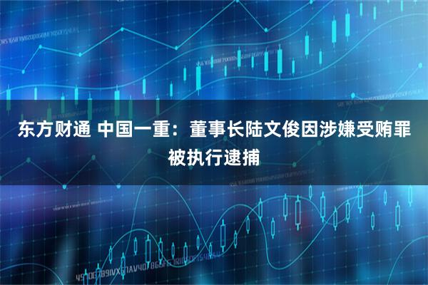 东方财通 中国一重：董事长陆文俊因涉嫌受贿罪被执行逮捕