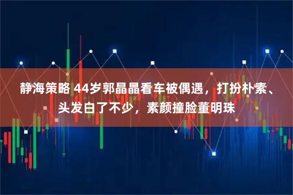 静海策略 44岁郭晶晶看车被偶遇，打扮朴素、头发白了不少，素颜撞脸董明珠